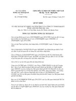 Quyết định số 2743/QĐ-TCHQ docx
