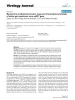 Báo cáo sinh học: 