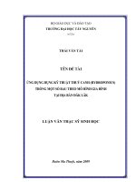 ỨNG DỤNG DỤNG KỸ THUẬT THUỶ CANH (HYDROPONICS) TRỒNG MỘT SỐ RAU THEO MÔ HÌNH GIA ĐÌNH TẠI ĐỊA BÀN ĐĂK LĂK
