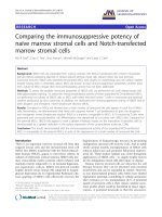 báo cáo hóa học: 