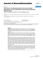 báo cáo hóa học: 