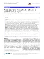 báo cáo hóa học: 