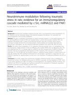 báo cáo hóa học: 