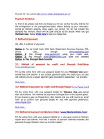 Payment fo vietnam-immigration.org.vn docx