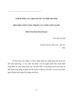 Báo cáo nghiên cứu khoa học 