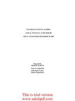 FLORIDA ANNUAL FINANCIAL AUDIT REPORT FISCAL YEAR ENDED SEPTEMBER 30, 2008_part1 ppt