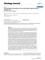 Báo cáo sinh học: 