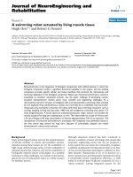 báo cáo hóa học: 