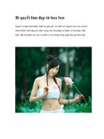 Bí quyết làm đẹp từ hoa Sen potx