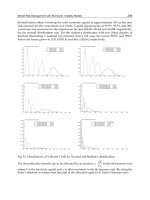 Risk Management in Environment Production and Economy Part 12 ppt