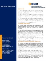 Công ty Cổ phần Chứng khoán Ngân hàng Đầu tư và Phát triển Việt Nam