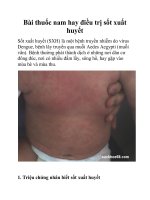 Bài thuốc nam hay điều trị sốt xuất huyết potx