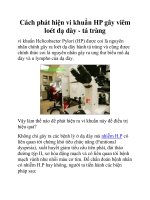 Cách phát hiện vi khuẩn HP gây viêm loét dạ dày - tá tràng pptx