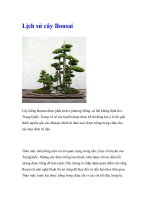 Lịch sử cây Bonsai pdf