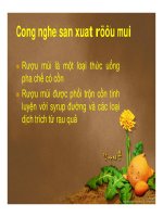 BÀI GIẢNG CÔNG NGHỆ SẢN XUẤT RƯỢU MÙI