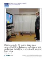 Báo cáo hóa học: 