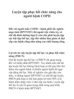 Luyện tập phục hồi chức năng cho người bệnh COPD pot