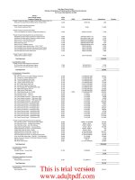 PALM BEACH COUNTY, FLORIDA ANNUAL FINANCIAL AUDIT REPORT FISCAL YEAR ENDED SEPTEMBER 30, 2009_part6 potx