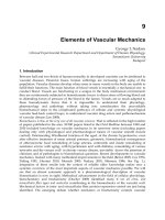 Human Musculoskeletal Biomechanics Part 12 pdf