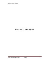 LUẬN VĂN CÔNG NGHỆ SINH HỌC TÌM HIỂU QUY TRÌNH ĐỊNH HCV BẰNG KỸ THUẬT REALTIME PCR