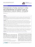 báo cáo hóa học: 