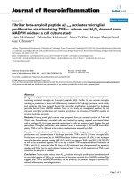 báo cáo hóa học: 