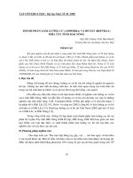 Báo cáo nghiên cứu khoa học 