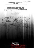 Regional Inspector General for Audit Cairo, Egypt_part1 pptx