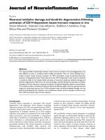 báo cáo hóa học: 