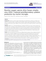 báo cáo hóa học: 