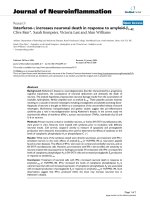 báo cáo hóa học: 