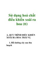 Sử dụng hoá chất điều khiển xoài ra hoa (tt) pot