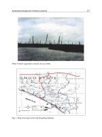 Environmental Management in Practice Part 7 pdf