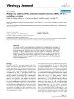 Báo cáo sinh học: 