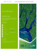 báo cáo thường niên vietcombank 2013