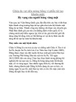 Ghép da vạt siêu mỏng bằng vi phẫu tái tạo khuôn mặt: Hy vọng của người bỏng vùng mặt doc