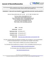 báo cáo hóa học: 