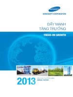 báo cáo thường niên annual report2013 đẩy mạnh tăng trưởng focus on growth