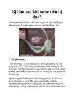Bị làm sao khi nước tiểu bị đục? pdf