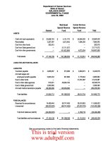 FINANCIAL AUDIT OF THE DEPARTMENT OF HUMAN SERVICES STATE OF HAWAII Fiscal Year Ended June 30, 2009_part3 pptx