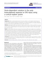 báo cáo hóa học: 