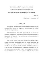 Báo cáo nghiên cứu khoa học 