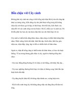 Bồn chậu với Cây cảnh pot