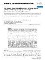 báo cáo hóa học: 