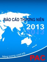 báo cáo thường niên 2013 năng lượng vượt trội