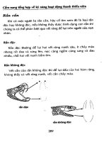 Cẩm nang tổng hợp về kỹ năng hoạt động thanh thiếu niên tâp 2 part 8 pptx