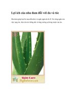 Lợi ích của nha đam đối với da và tóc doc