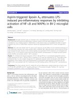 báo cáo hóa học: 