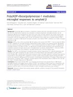 báo cáo hóa học: 