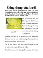 Công dụng của bưởi potx